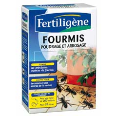 Anti fourmis poudre